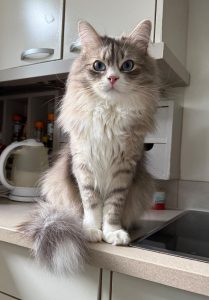 WhatsApp Image 2026-03-07 at 14.21.37