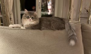 WhatsApp Image 2026-03-07 at 14.21.37(2)