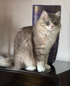 WhatsApp Image 2026-03-07 at 14.21.37(3)