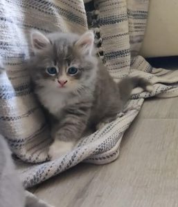 WhatsApp Image 2026-03-07 at 14.21.37(5)