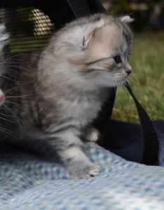 DSC_0201